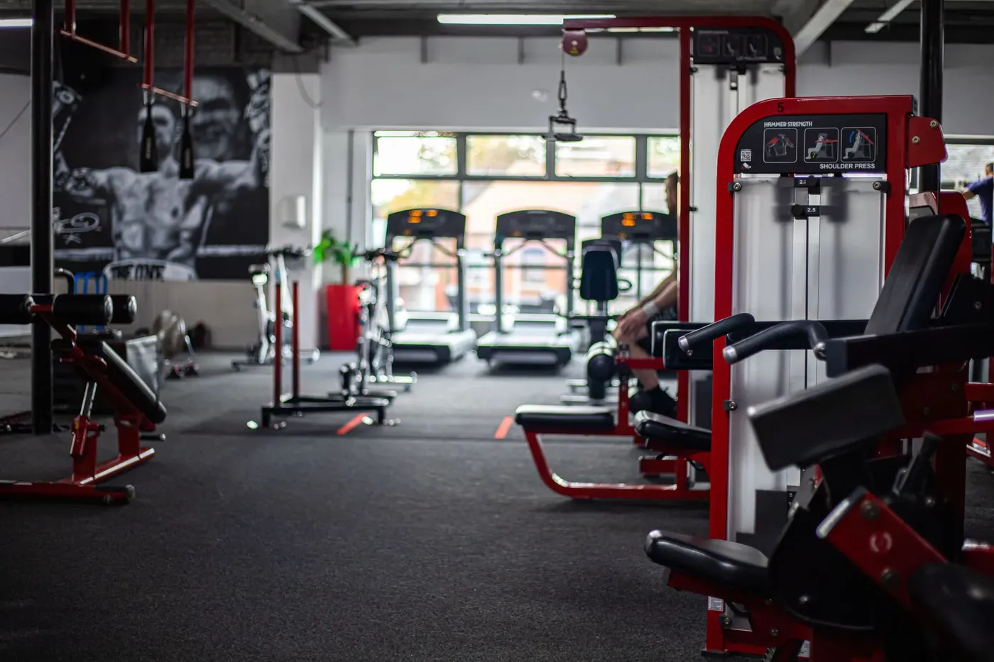 GYM — nuotrauka 3 iš 12