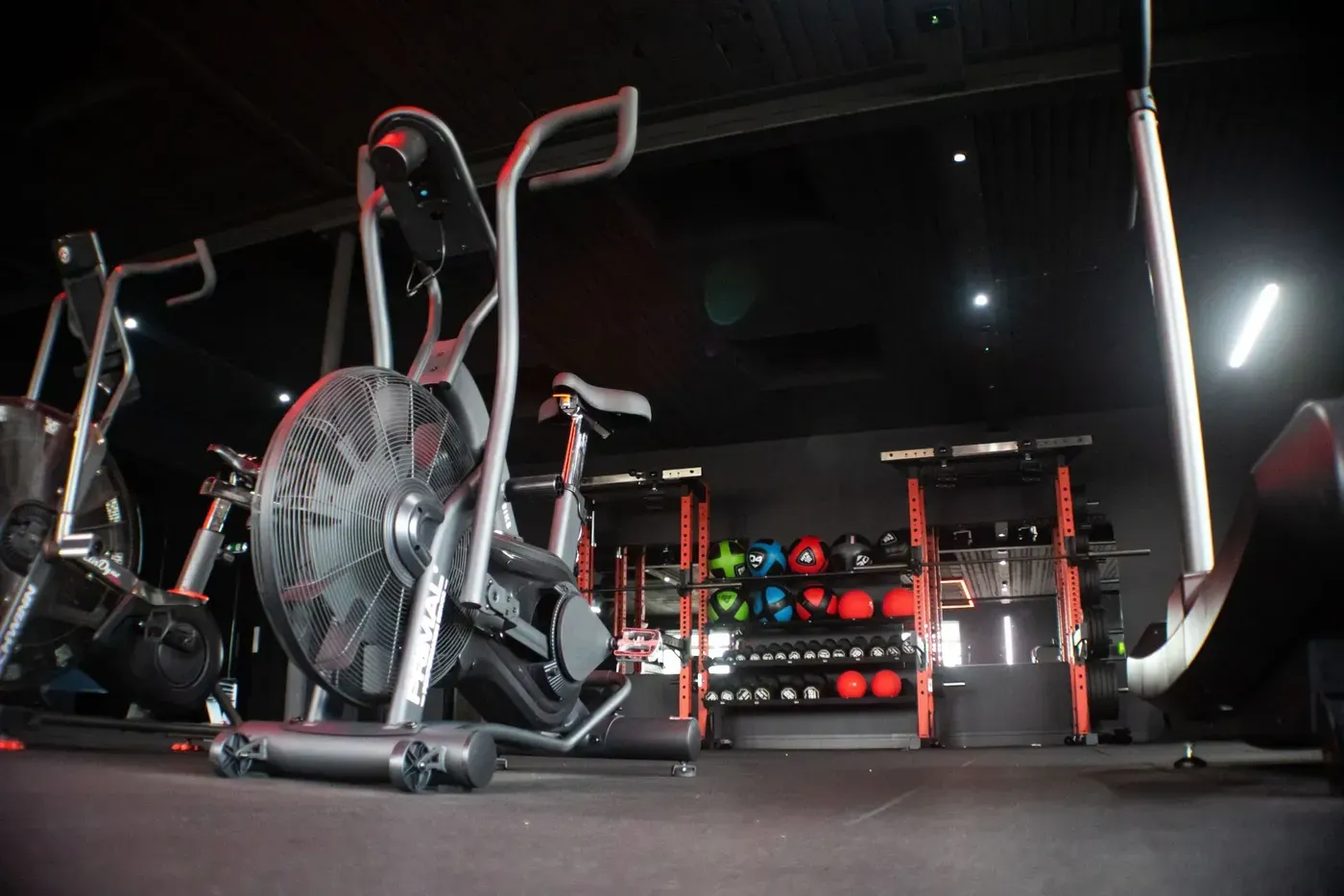 GYM — nuotrauka 9 iš 12